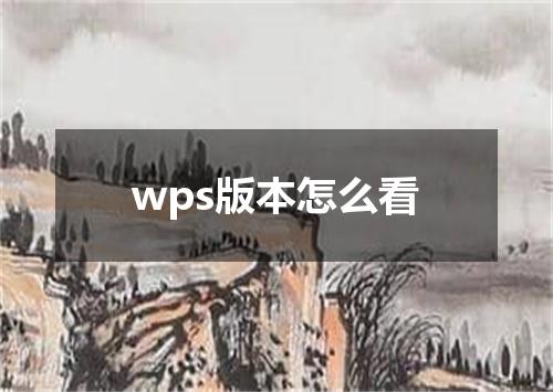 wps版本怎么看