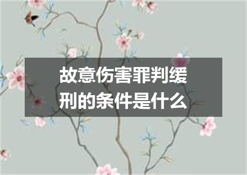 故意伤害罪判缓刑的条件是什么