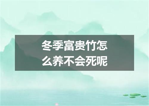 冬季富贵竹怎么养不会死呢