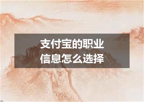 支付宝的职业信息怎么选择