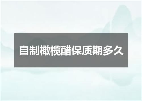 自制橄榄醋保质期多久