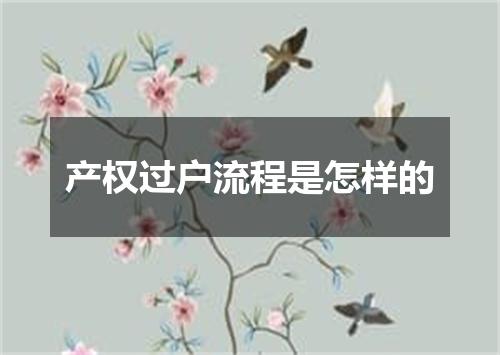 产权过户流程是怎样的