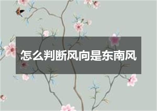怎么判断风向是东南风