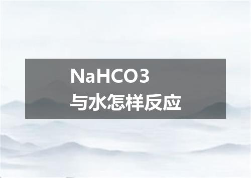 NaHCO3与水怎样反应