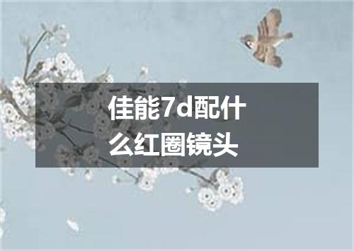 佳能7d配什么红圈镜头