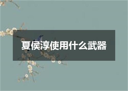 夏侯淳使用什么武器