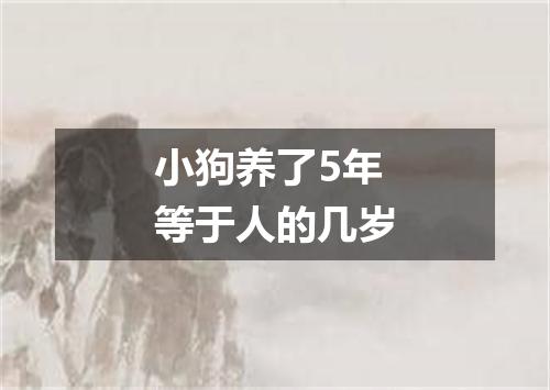 小狗养了5年等于人的几岁