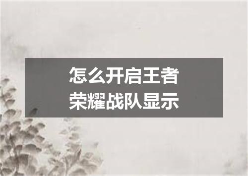 怎么开启王者荣耀战队显示