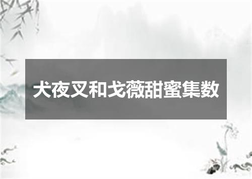 犬夜叉和戈薇甜蜜集数