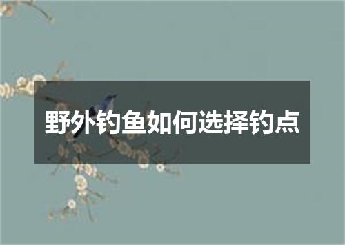 野外钓鱼如何选择钓点