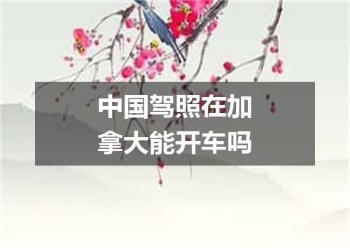 中国驾照在加拿大能开车吗