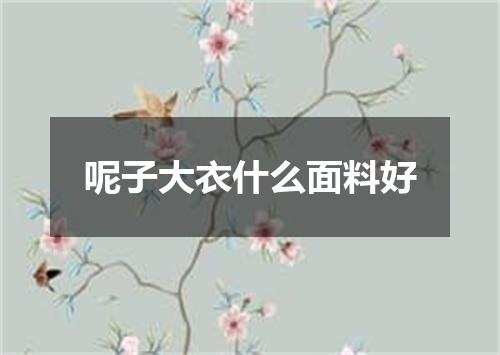 呢子大衣什么面料好