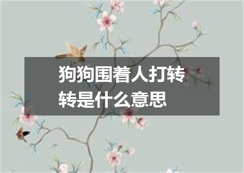 狗狗围着人打转转是什么意思