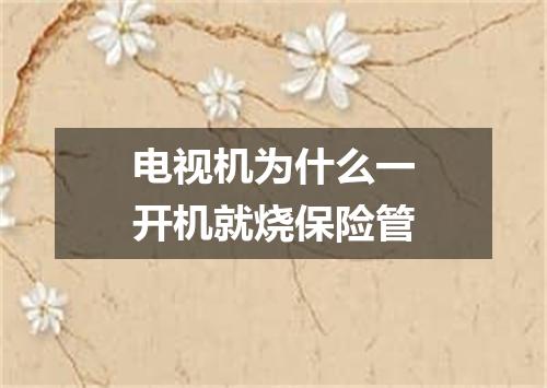 电视机为什么一开机就烧保险管