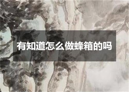 有知道怎么做蜂箱的吗