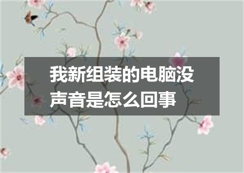 我新组装的电脑没声音是怎么回事