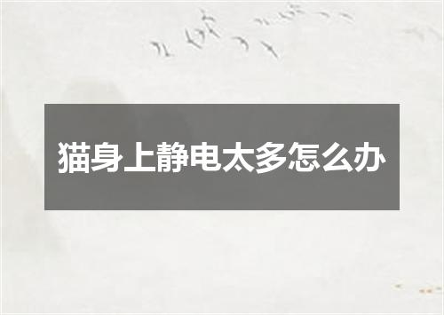 猫身上静电太多怎么办