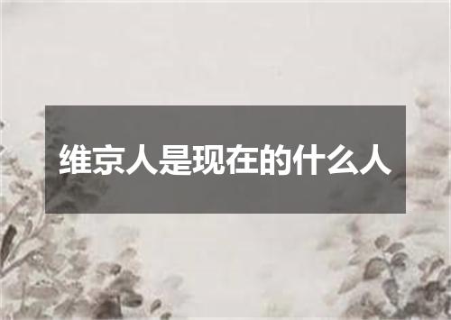 维京人是现在的什么人