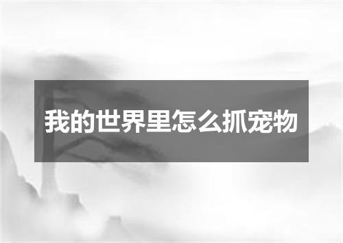 我的世界里怎么抓宠物