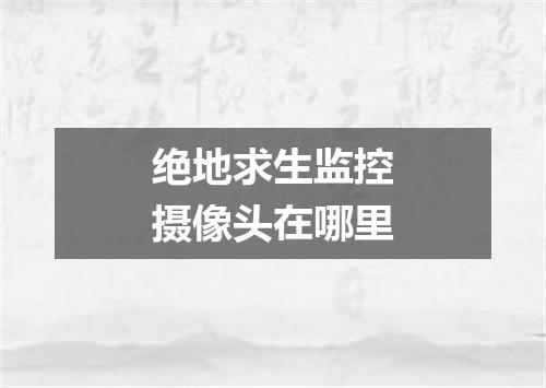 绝地求生监控摄像头在哪里
