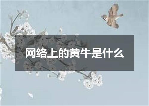 网络上的黄牛是什么