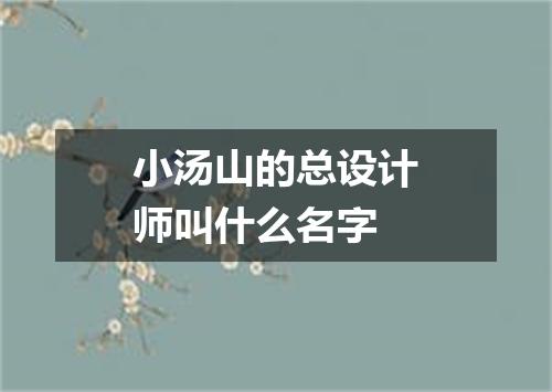 小汤山的总设计师叫什么名字