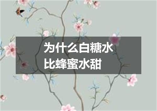 为什么白糖水比蜂蜜水甜