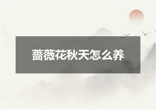 蔷薇花秋天怎么养