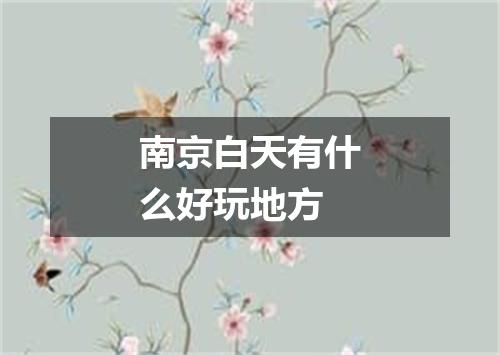 南京白天有什么好玩地方