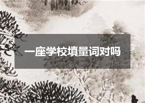 一座学校填量词对吗