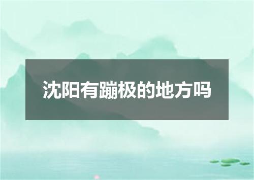沈阳有蹦极的地方吗