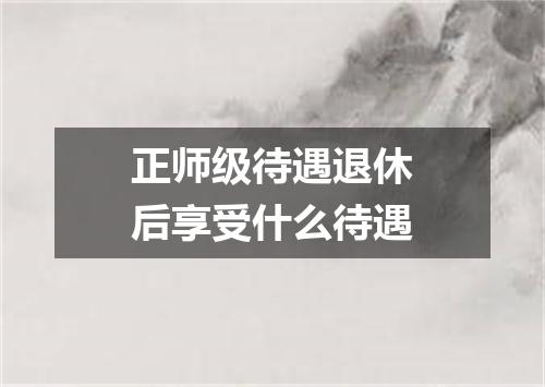 正师级待遇退休后享受什么待遇
