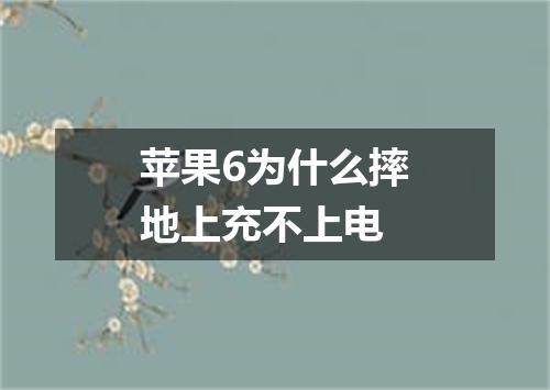 苹果6为什么摔地上充不上电