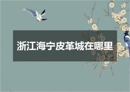 浙江海宁皮革城在哪里