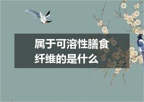 属于可溶性膳食纤维的是什么