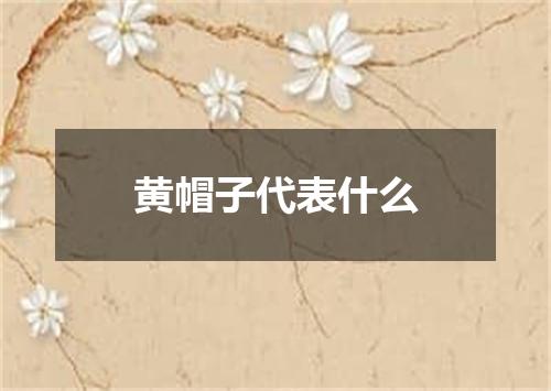 黄帽子代表什么