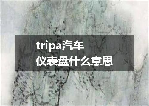 tripa汽车仪表盘什么意思