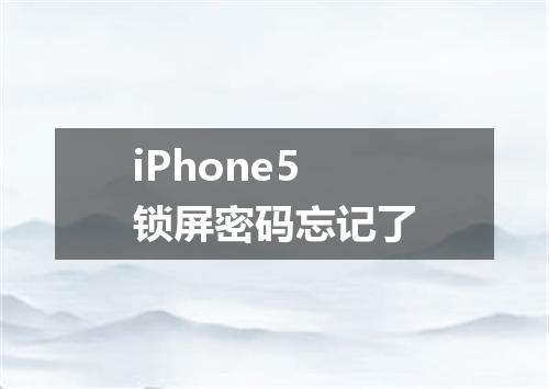 iPhone5锁屏密码忘记了