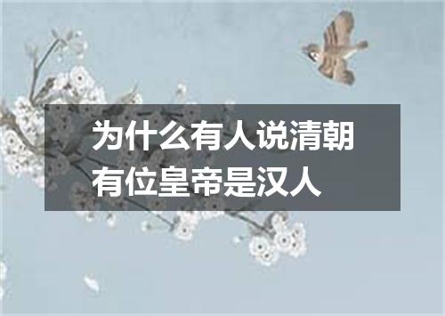 为什么有人说清朝有位皇帝是汉人