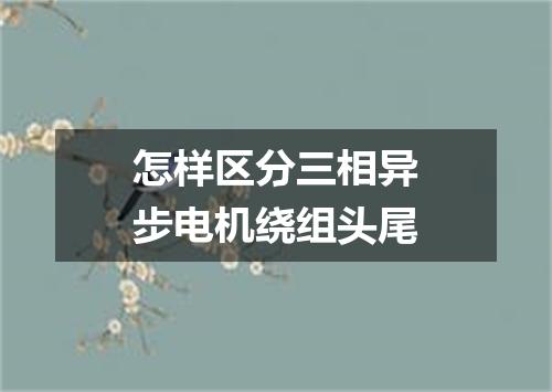 怎样区分三相异步电机绕组头尾