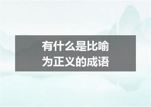 有什么是比喻为正义的成语