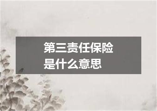 第三责任保险是什么意思