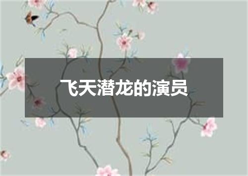 飞天潜龙的演员