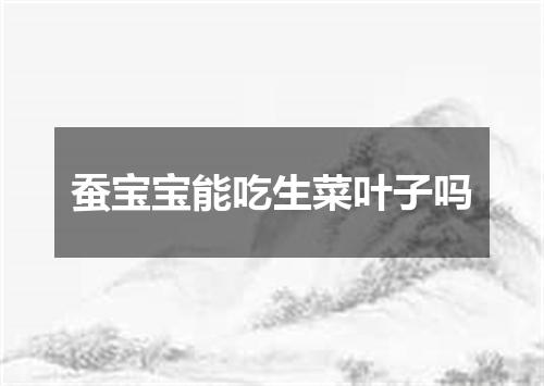 蚕宝宝能吃生菜叶子吗