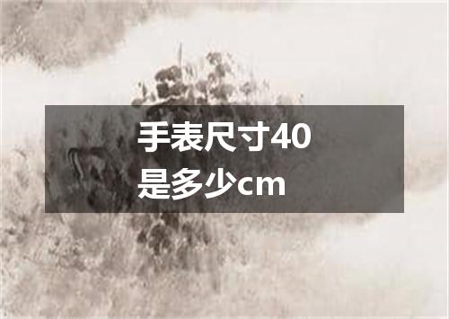 手表尺寸40是多少cm