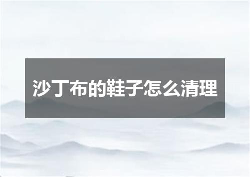沙丁布的鞋子怎么清理
