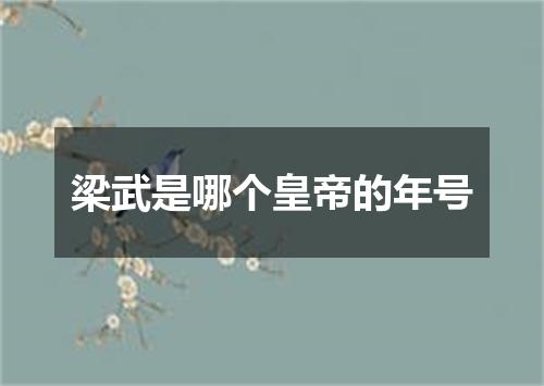 梁武是哪个皇帝的年号