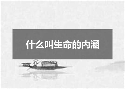 什么叫生命的内涵