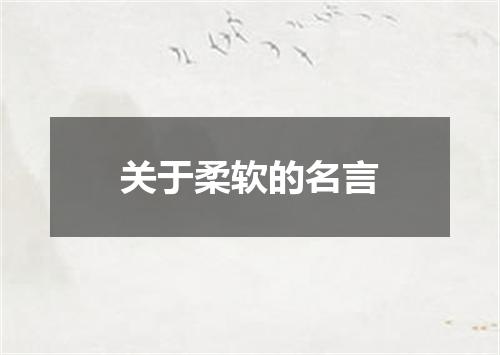 关于柔软的名言