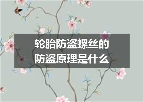 轮胎防盗螺丝的防盗原理是什么